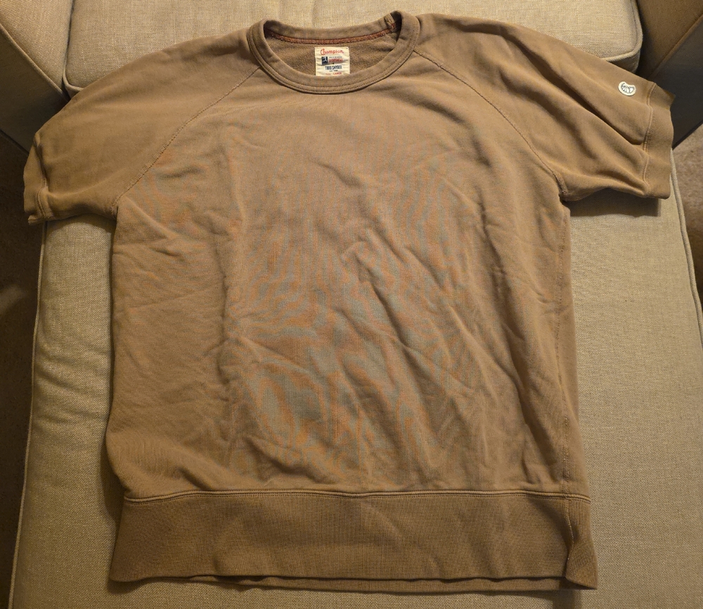 Champion Men's Brown Crewneck Sweater